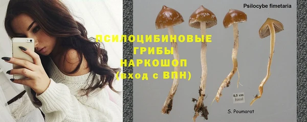 apvp Инта