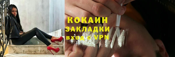 apvp Инта