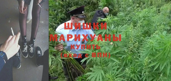 дживик Иннополис