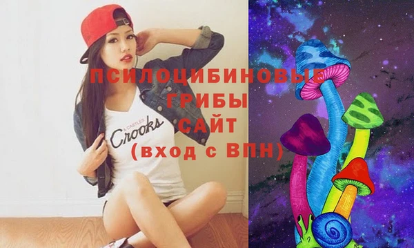 apvp Инта
