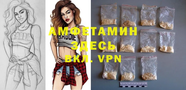 apvp Инта