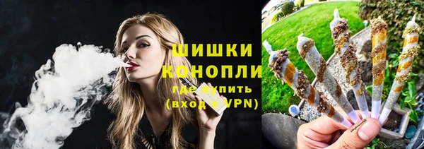 apvp Инта