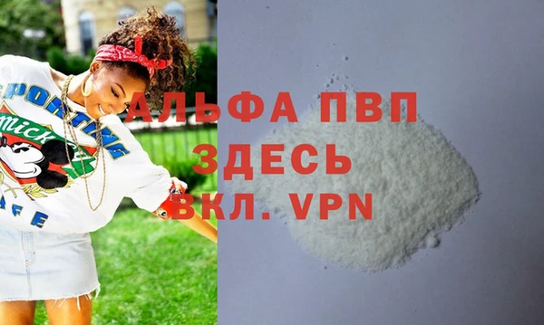 apvp Инта