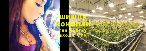 apvp Инта