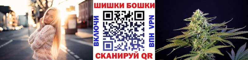 Бошки Шишки ГИДРОПОН  Купить где  Иннополис 
